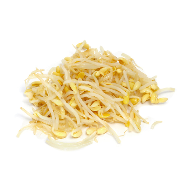 Brotes de soja