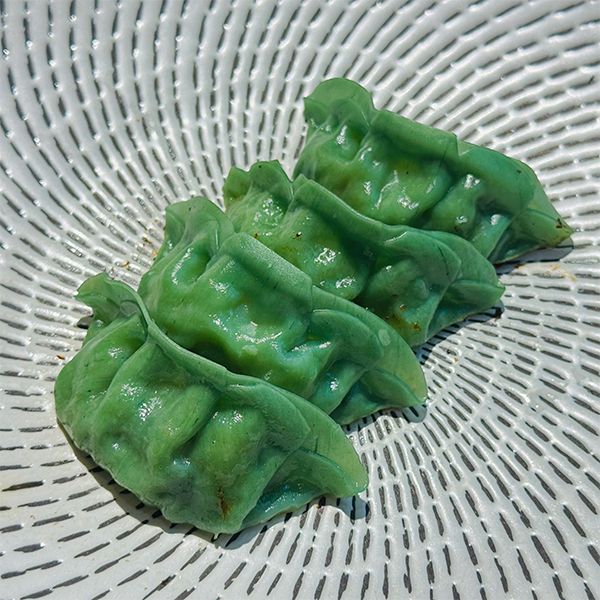 Gyoza Kiraku Verdura y Fideos